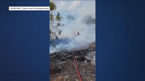 The Florida Forest Service has confirmed a wildfire in Lehigh Acres