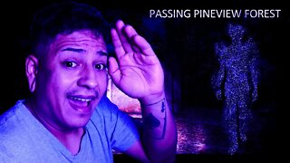SUSSURROS NA FLORESTA|PASSING PINEVIEW FOREST [Demo]