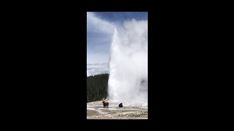 EXPLOSION at Yellowstone!!! I Couldn’t believe what I saw.