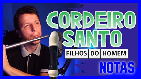 CORDEIRO SANTO - FILHOS DO HOMEM - FLAUTA DOCE Tutorial com notas na tela