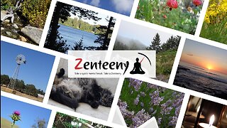 Welcome to Zenteeny | Relaxing and Beautiful Zen Shorts, 4K Nature