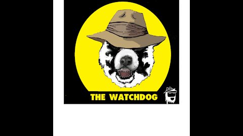 THE WATCHDOG 11/01/2021: COP26 kicks off in Glasgow