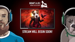 Grim Dawn [Pt. 2] // Let's Slay Some Baddies // Animal Rescue Stream