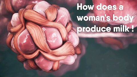How does a woman's body produce milk