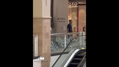 Cell phone video of suspects at Tysons Corner that triggered active shooter