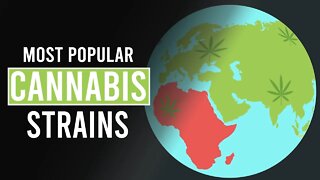 5 Most Popular Strains of Cannabis!