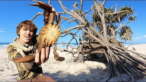 Solo Survival 24 HOURS on ISLAND Primitive HUT Building & MUDCRAB Catch n Cook! (ECHIDNA)