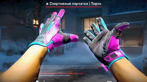 This Streamer Unboxed INSANE CSGO Gloves! ($1.000+)