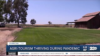 Agri-tourism thriving during pandemic