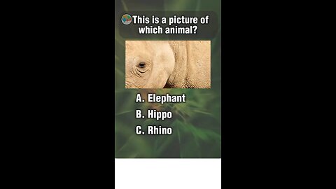 Guess the animal.
