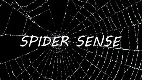 "Spider Sense" (Proverbs 30:28)