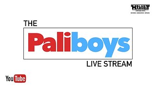 TALKING TOYS WITH THE PALIBOYS