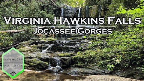 Virginia Hawkins Falls, South Carolina -- DJI Drone Footage