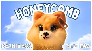 Honeycomb Beanie Boo Review!🍯🌻 || Sunflower Boo 💛