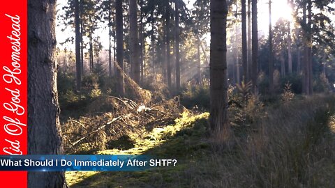 What Should I Do Immediately After SHTF?