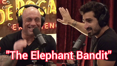 "The Elephant Bandit" Story | The Joe Rogan Experience Podcast | Paul Rosalie ep. #2013 JRE