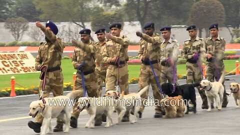 Indian security forces' dog squad at CISF Raising day -Delhi