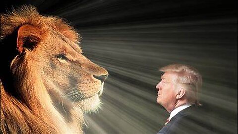 Trump the Lion KING 45th President of the United States of America