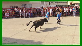 ÉPILA ( ZARAGOZA ) TARDE VACAS DE CAJON ( SABADO 27 MAYO 2023 ) GANAD.ORO VELA