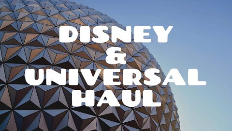 Disney World & Universal Haul Video!
