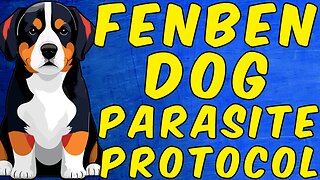 The Fenbendazole (Dog) Parasite Protocols