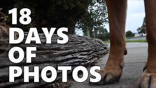 18 Days of Photos
