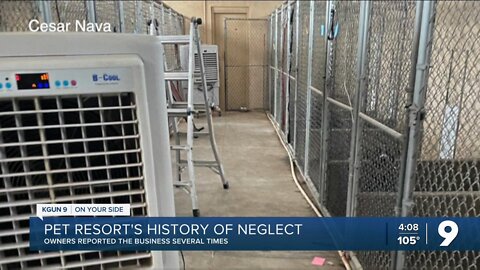 Police documents detail history of neglect at Buhrke's Pet Resort in Marana