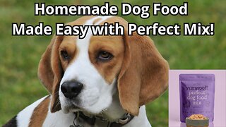 Homemade Dog Food Made Easy with Perfect Mix!