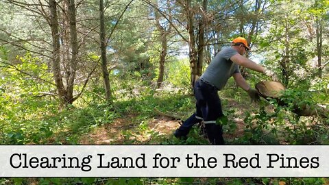 Episode 32 - Clearing Land for the Red Pines!!! - Part 1