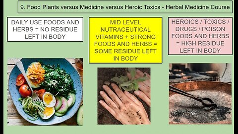 Personal Alkemy Herbal Medicine Course Class 9 - Food Versus Heroic Toxics