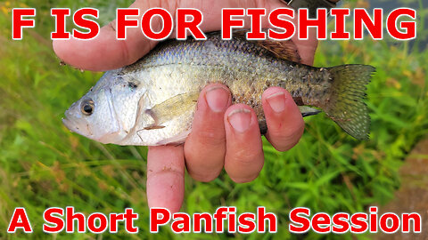 A Short Panfish Session