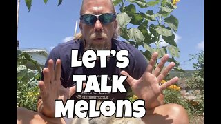 Let's Talk Melons