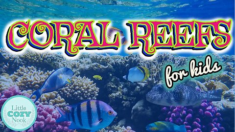 Coral Reef for Kids | Science for Kids