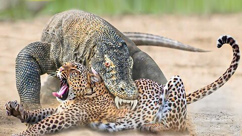 Terrorized, fearing for themselves, Because of Wild Animal fights.**