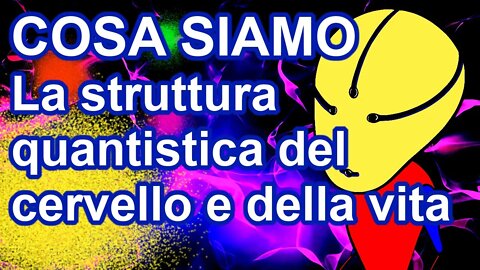 La struttura quantistica del cervello e degli esseri viventi. Cosa siamo. Il "meccanismo" della vita