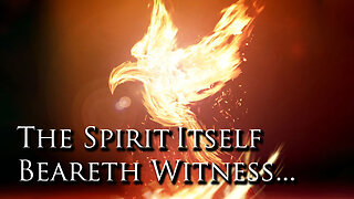 The Spirit Itself Beareth Witness... | Pastor Anderson