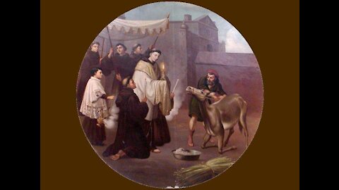 7th Tuesday Novena of St. Anthony: The Donkey who Adored the Eucharist