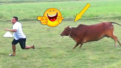 TRY NOT TO LAUGH 😆 Best Funny Videos Compilation 😂😁😆 Memes