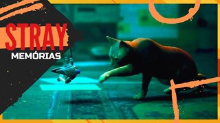 STRAY | Como Descobrir a senha rápido e fácil