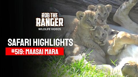 Safari Highlights #519: 10 & 11 March 2019 | Maasai Mara/Zebra Plains | Latest Wildlife Sightings