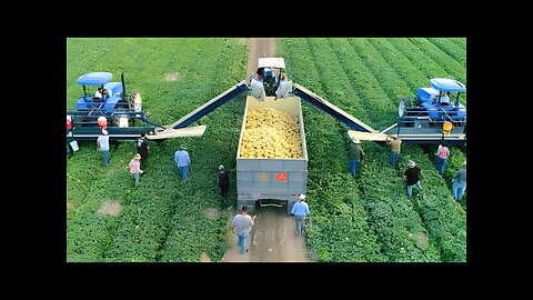 How American Farmers Harvest Thousands Of Tons Of Fruits And Vegetables #2