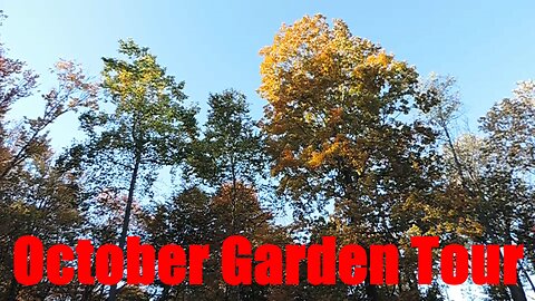 October 2022: Garden Tour