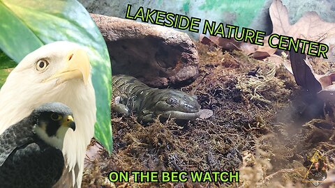 BEC Watch Entries: #21 Lakeside Nature Center
