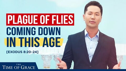 The Plague of Flies Coming Down in This Age | Grace Road Church | Ep9 FBC2