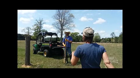 Dr. Hill Uses Cows to One Up Leah's Grass Cutting Request