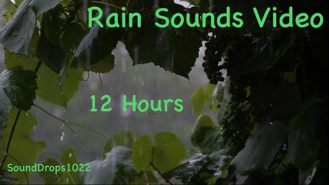 12-Hour Rain Ambiance: Day and Night Serenity