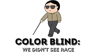 We Didn't See Race