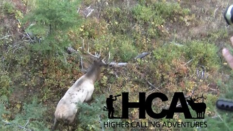 2012 Idaho Elk Bow Hunt | Elk Whitetail Deer Bear Turkey Bow Archery Hunting Hunt