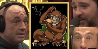 JRE: Is the Stoned Ape Theory Real?