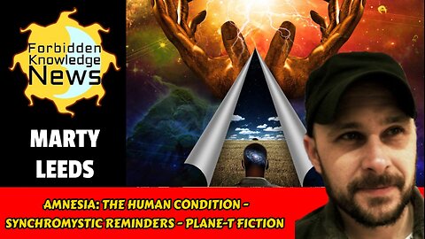 Amnesia: The Human Condition - Synchromystic Reminders - Plane-T Fiction | Marty Leeds